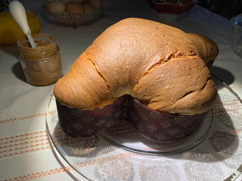 Colomba Pandorata PRODOTTO ARTIGIANALE