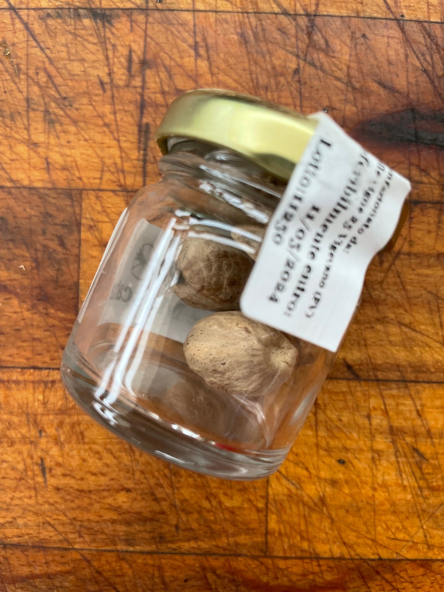 Nutmeg