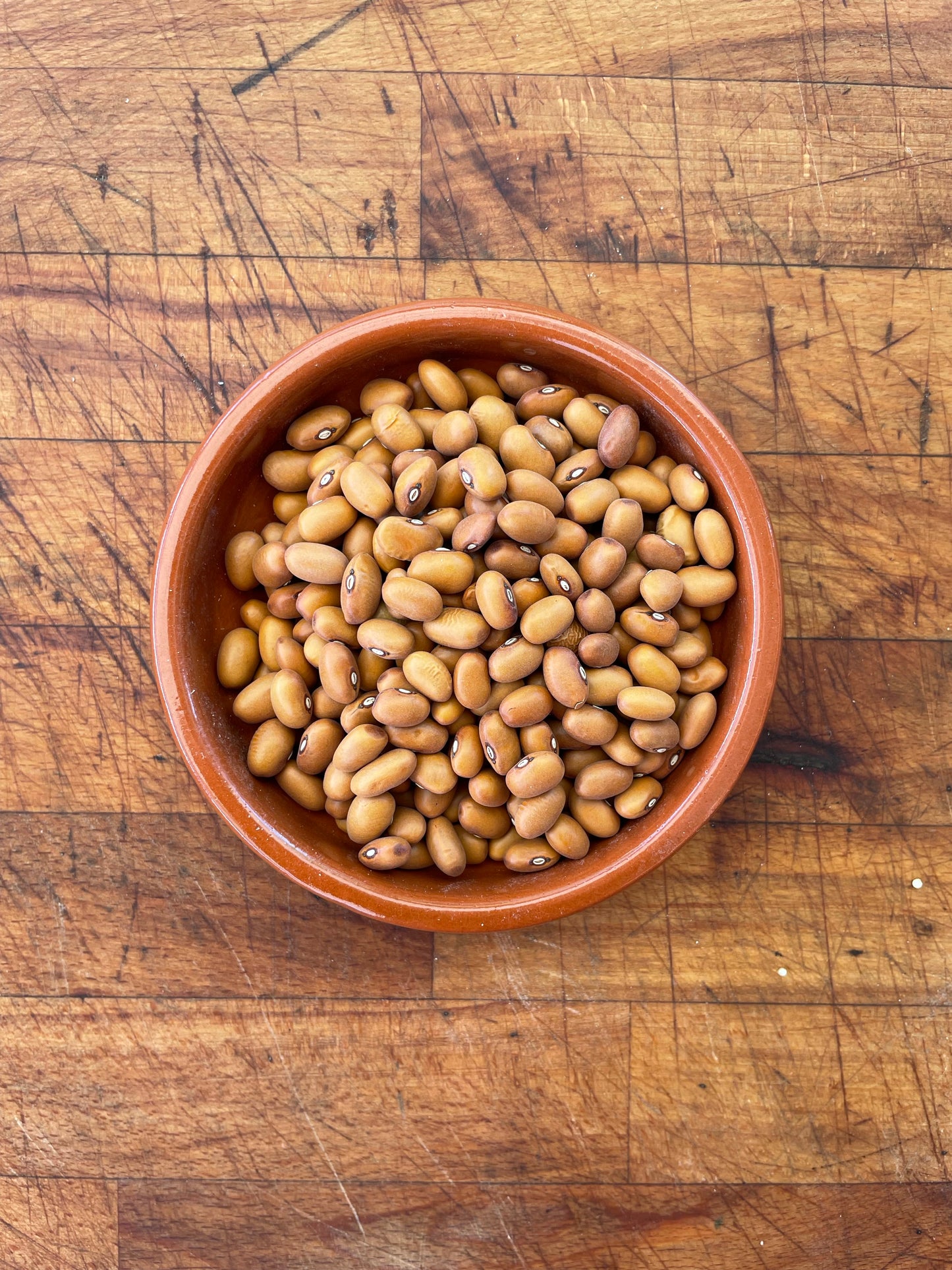 Brown Beans