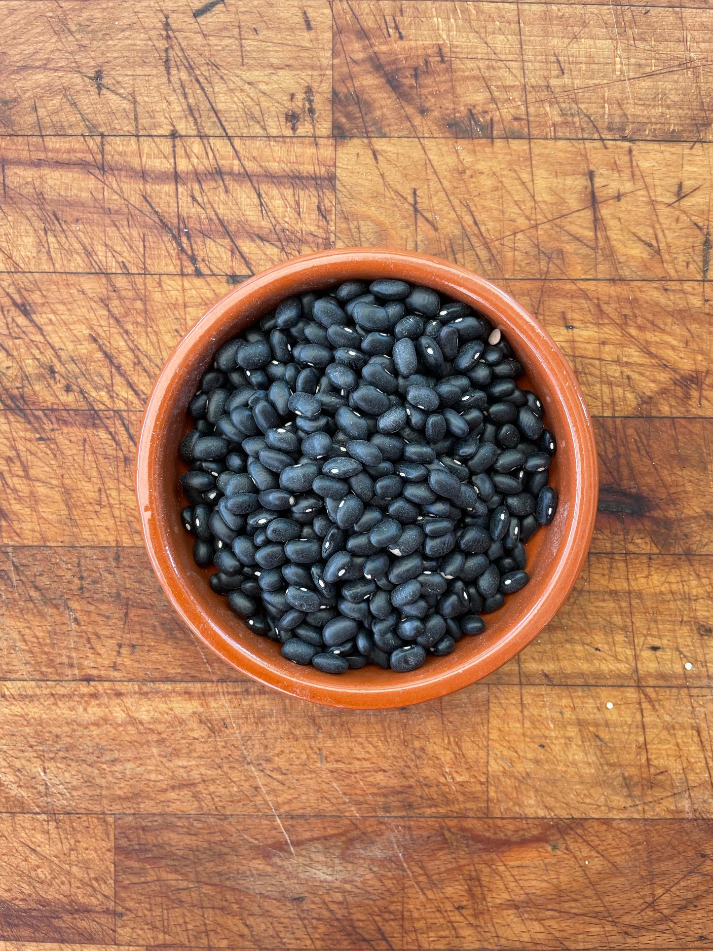 Black Beans