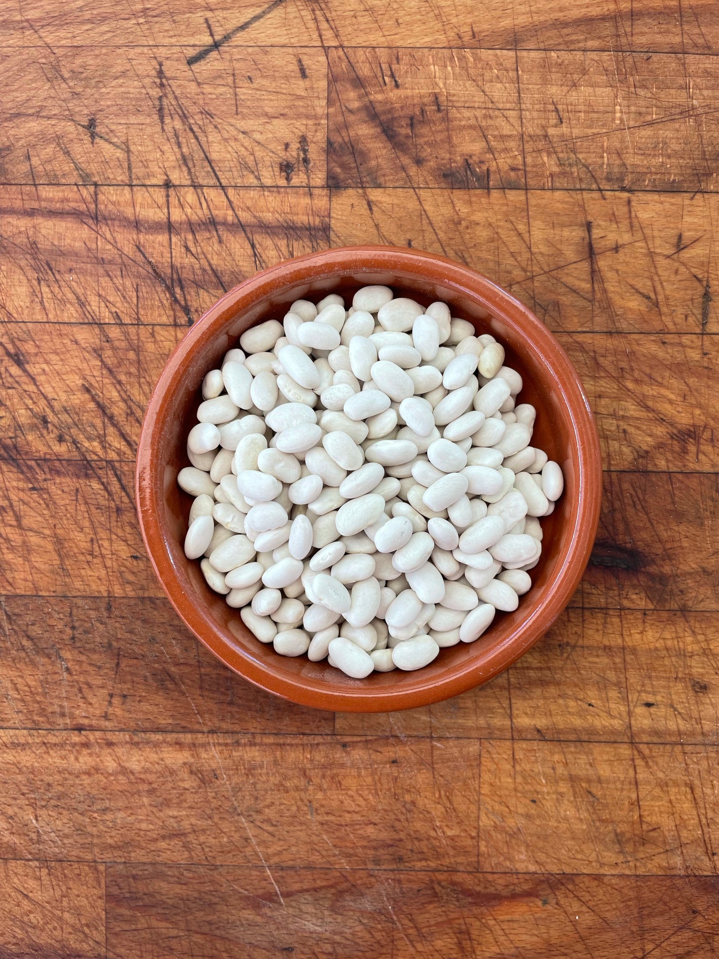 Toscanelli Beans