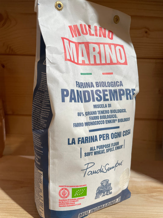 Organic Pandisempre Flour Blend - Mulino Marino