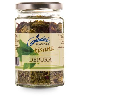Tisana Depura