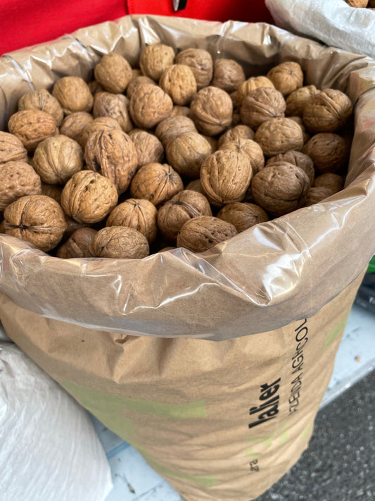 LARA Veneto Walnuts Harvest 2024