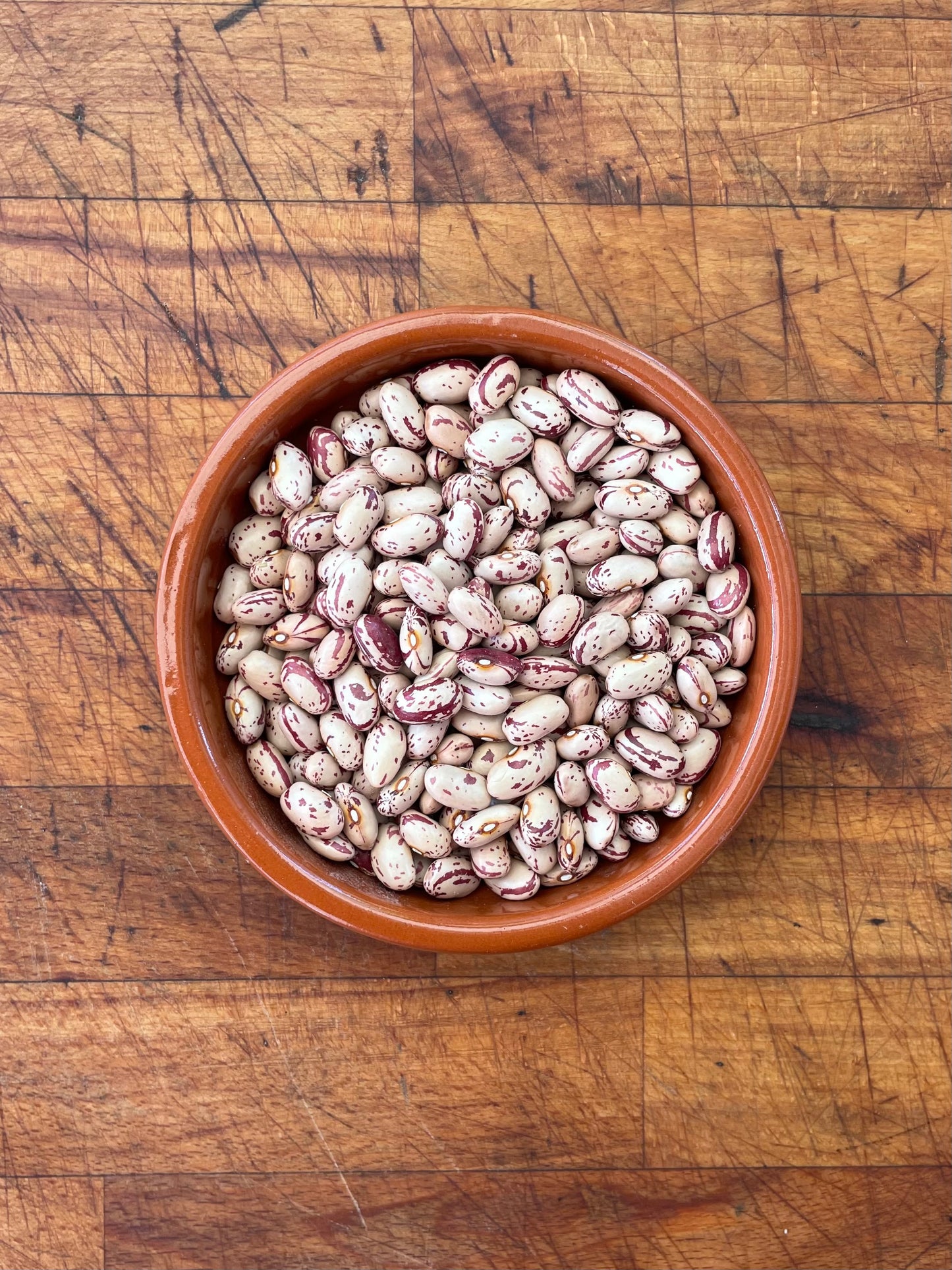 Fagioli Borlotti