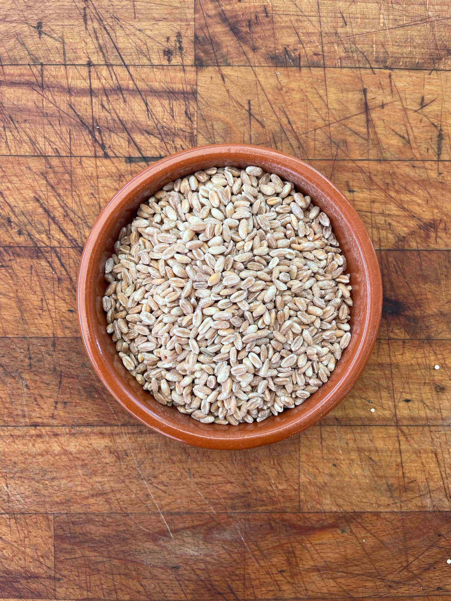Farro